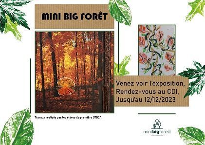 CREATION DE NOTRE MINI-BIG-FOREST